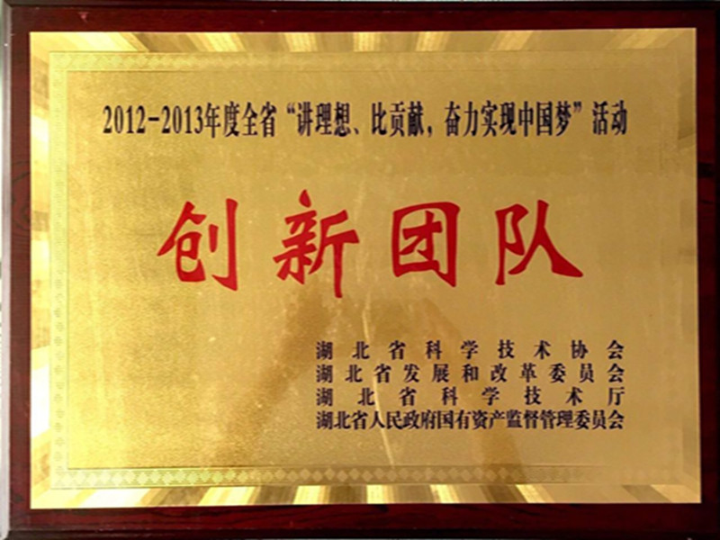 湖北省2012-2013年度“講理想，比貢獻”創(chuàng)新團隊.jpg